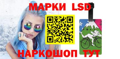 прущие грибы Будённовск