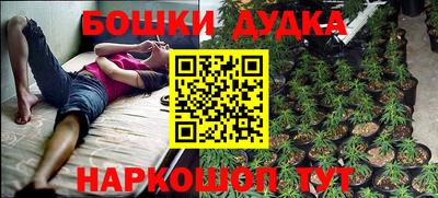 прущие грибы Будённовск