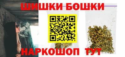 прущие грибы Будённовск
