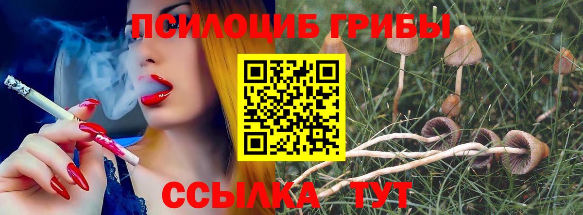 Протвино  Псилоцибиновые грибы мицелий  купить закладку  Вход с VPN 